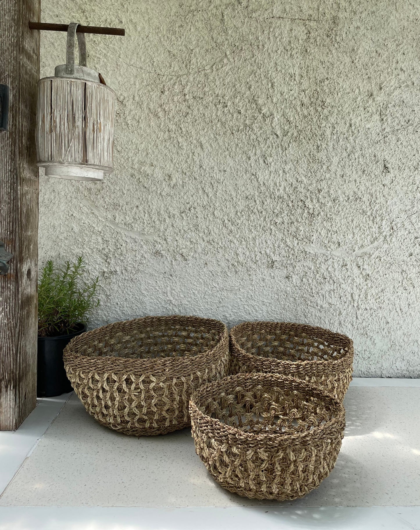 Our Oasis - Contrast Weave Basket