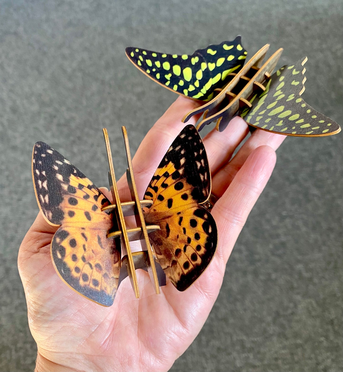 Our Oasis - Australian Fritillary Butterfly Wooden 3D Toy